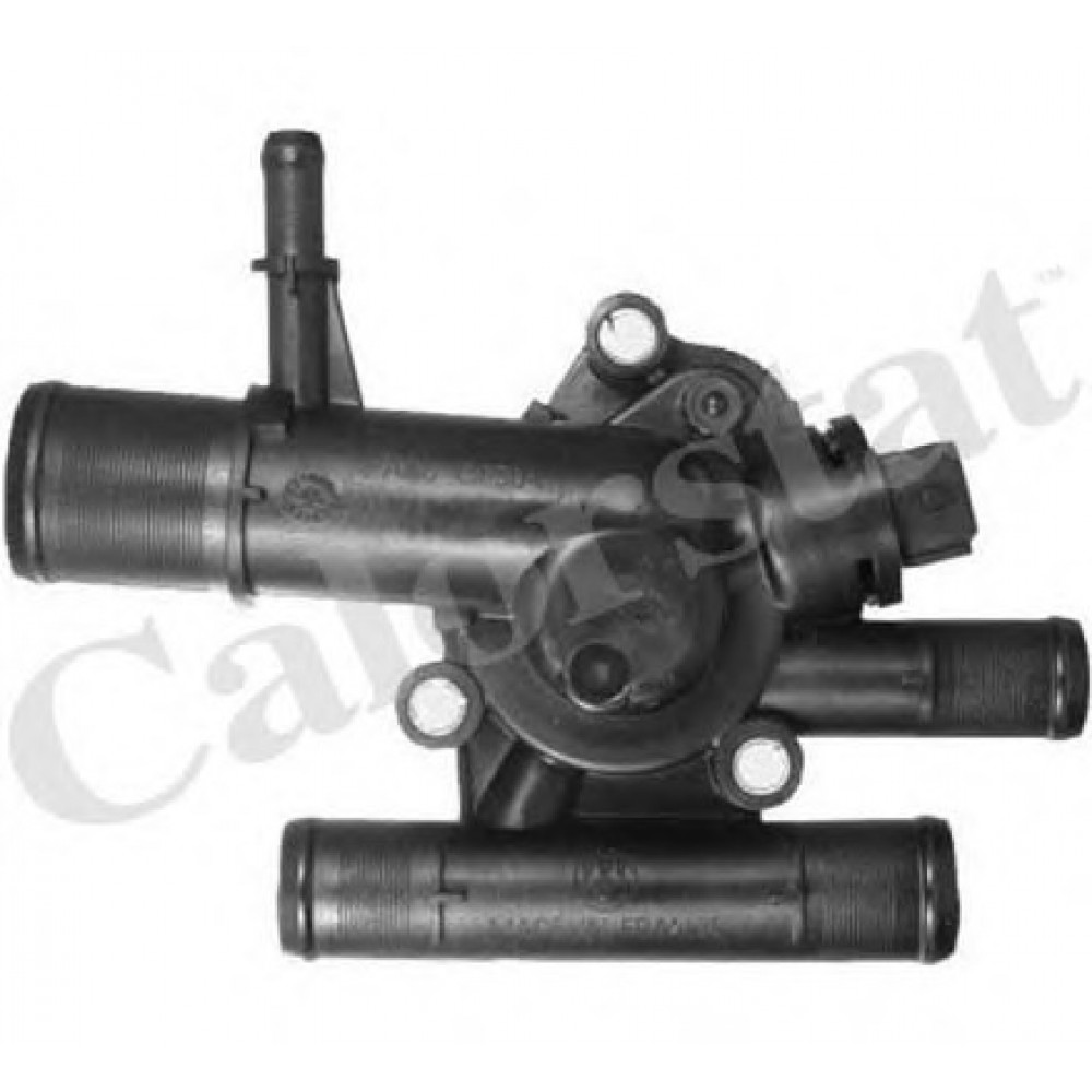 TERMOSTATAS RENAULT,OPEL 1.9DCĮ 01-
