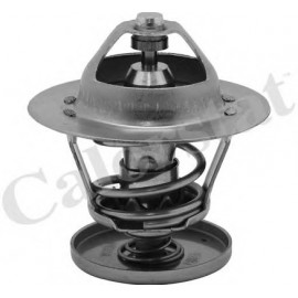 TERMOSTATAS FORD FOCUS 88C 00-
