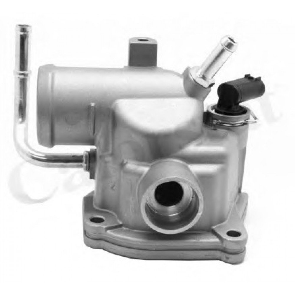 TERMOSTATAS DB 87C W163