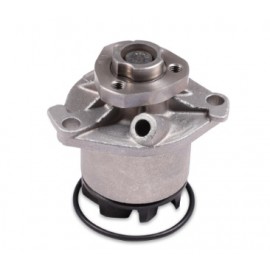 VANDENS SIURBLYS VW,FORD,MB VITO VR6 2,8-2,9