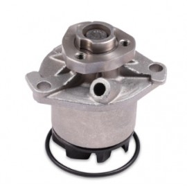 VANDENS SIURBLYS FORD,MB,VW VR6 2,8-2,9