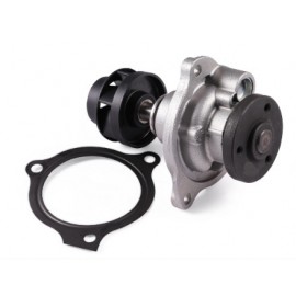 VANDENS SIURBLYS FORD FIESTA 1.3 01-