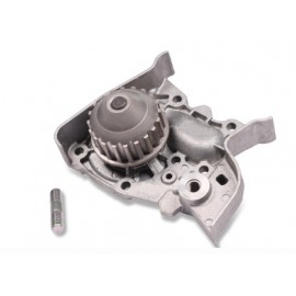 VANDENS SIURBLYS RENAULT 19/CLIO 1.2-1.4