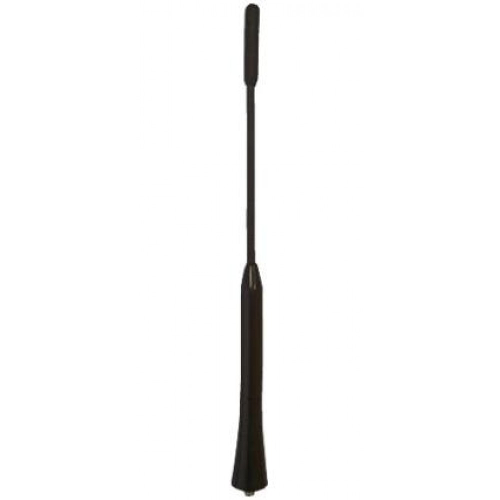 ANTENA AUTOMOBILINĖ
