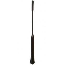 ANTENA AUTOMOBILINĖ