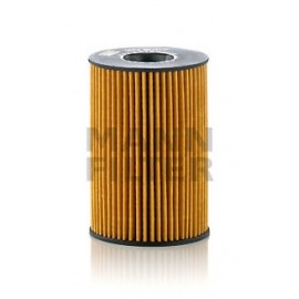 ALYVOS FILTRAS BMW F01/F02/F03/F04/X5/X6