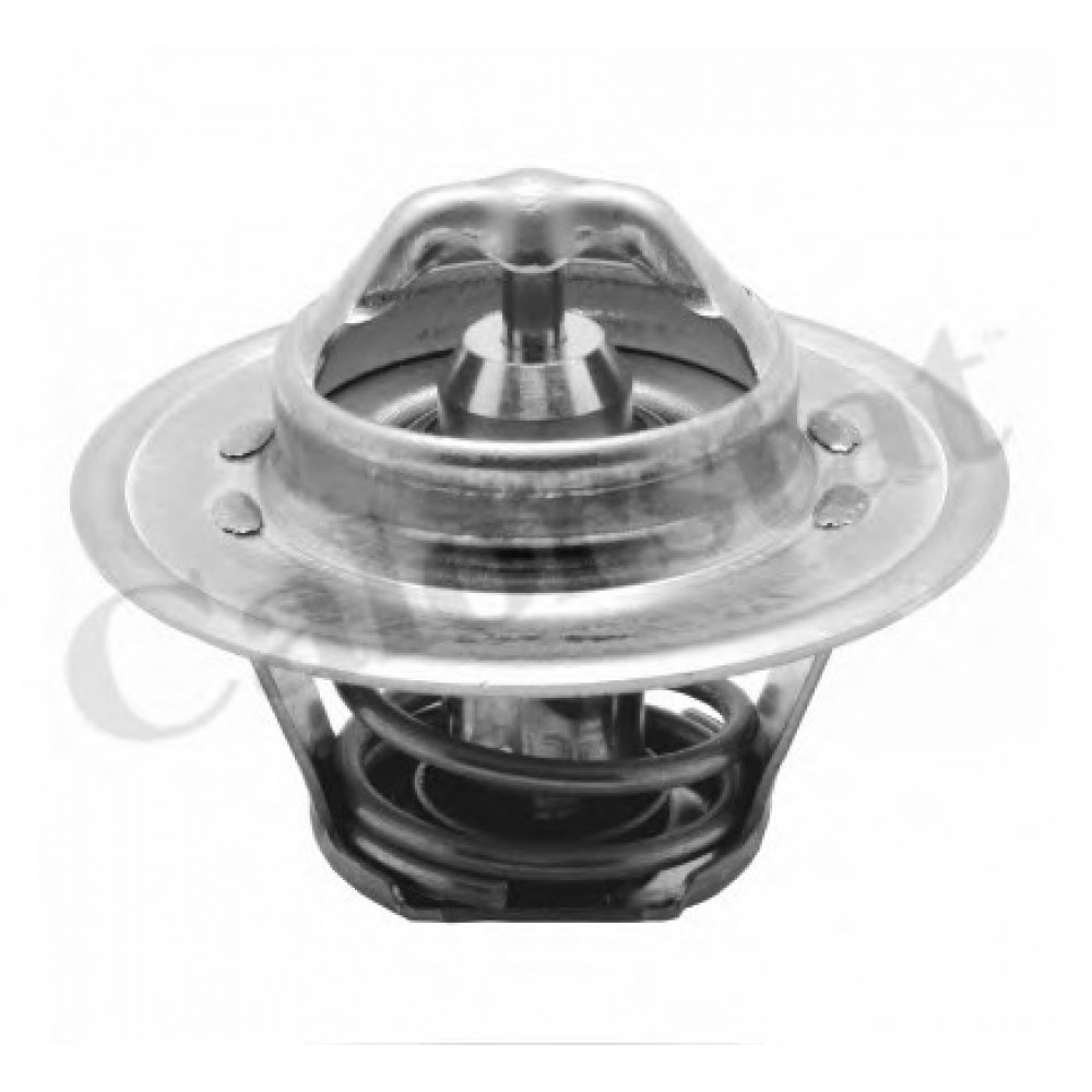 TERMOSTATAS VW 88C 2,0TDI 03-