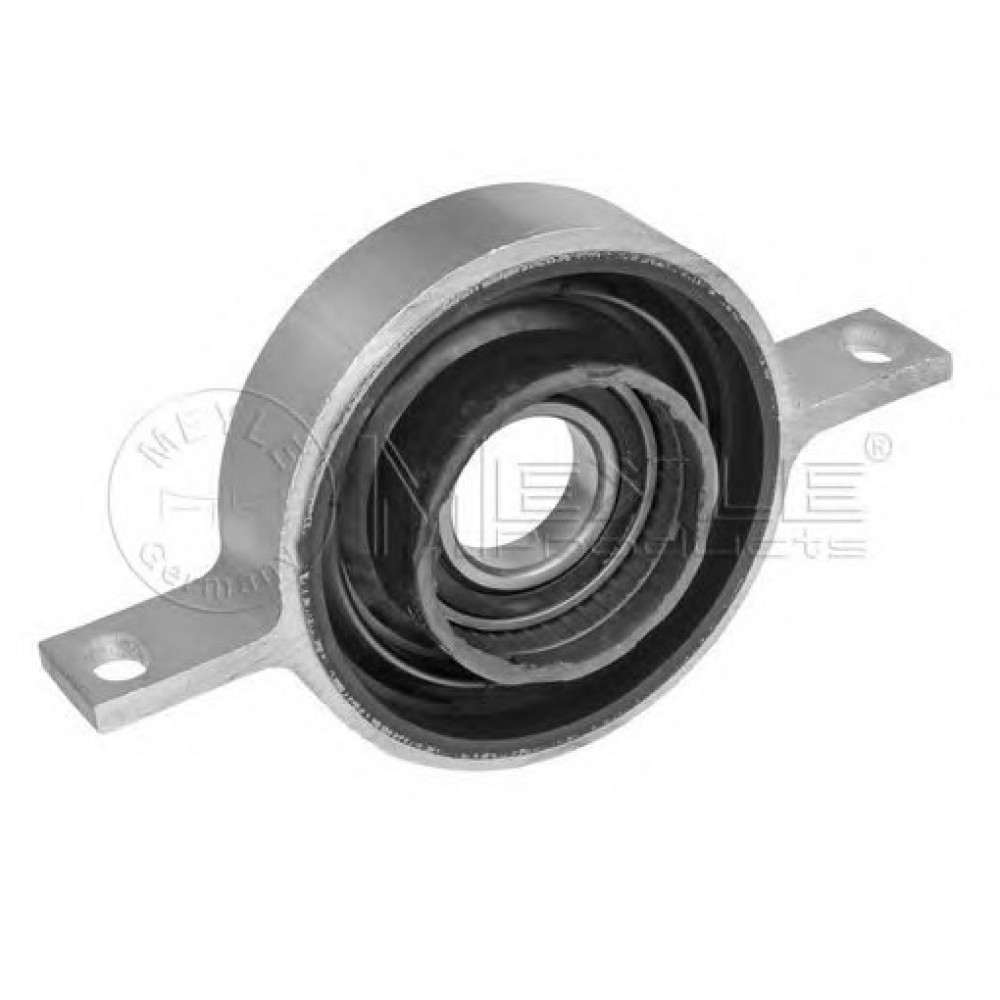 PAKABINAMAS GUOLIS BMW X3/X5/X6